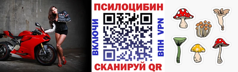 Псилоцибиновые грибы MAGIC MUSHROOMS  Купить  Фатеж 